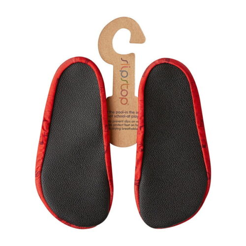 champ-hinten
